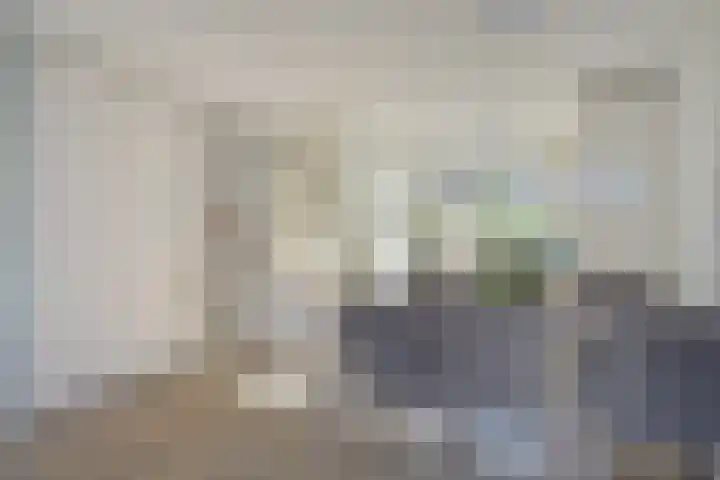 Vermeulenlaan 3 Den Haag thumbnail 21