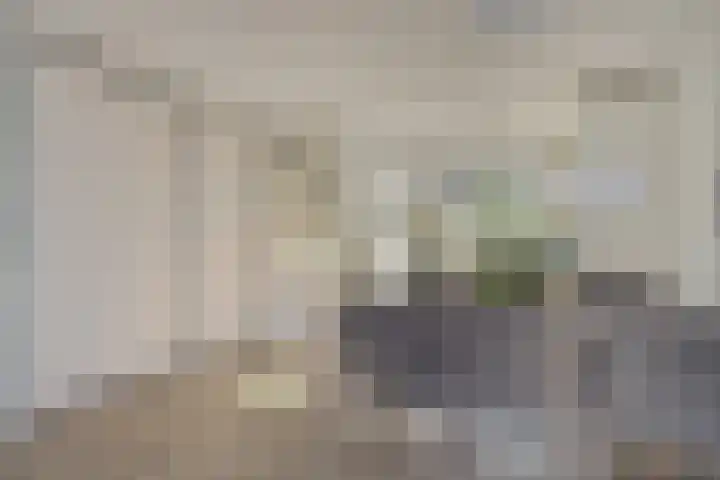 Vermeulenlaan 3 Den Haag thumbnail 22