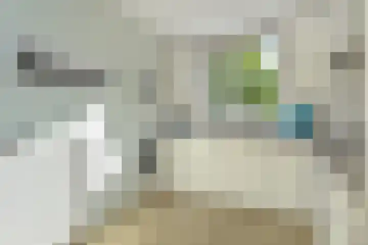 Vermeulenlaan 3 Den Haag thumbnail 23