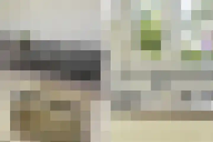 Vermeulenlaan 3 Den Haag thumbnail 24