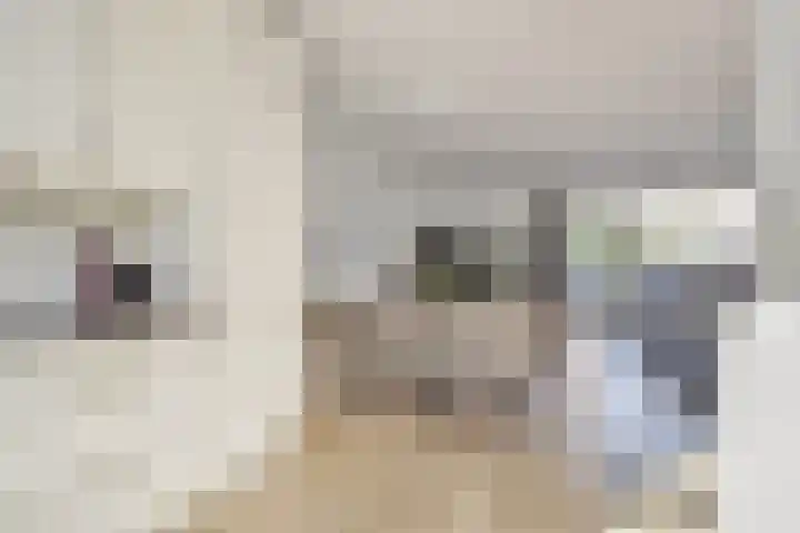 Vermeulenlaan 3 Den Haag thumbnail 25