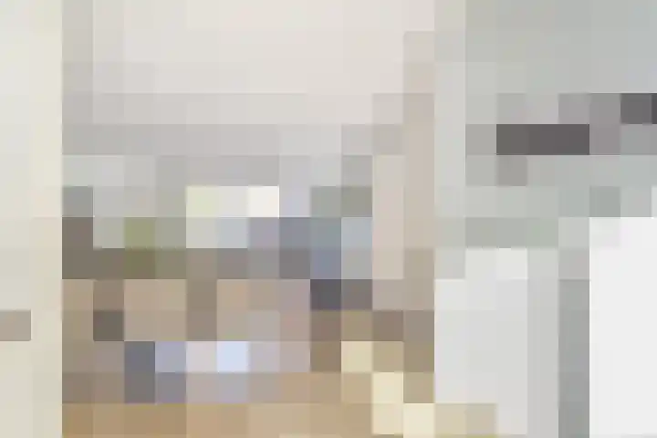 Vermeulenlaan 3 Den Haag thumbnail 26