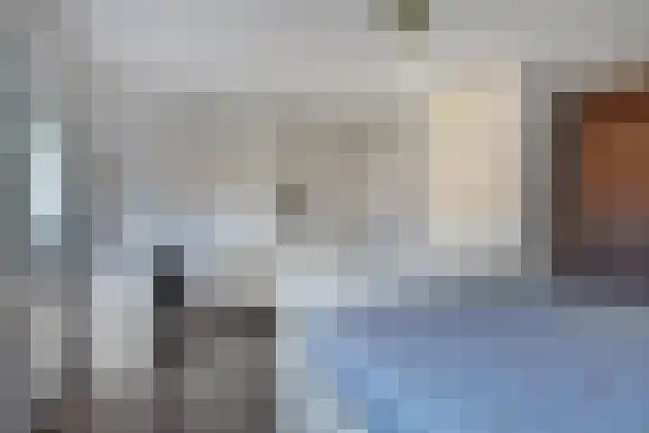 Vermeulenlaan 3 Den Haag thumbnail 32