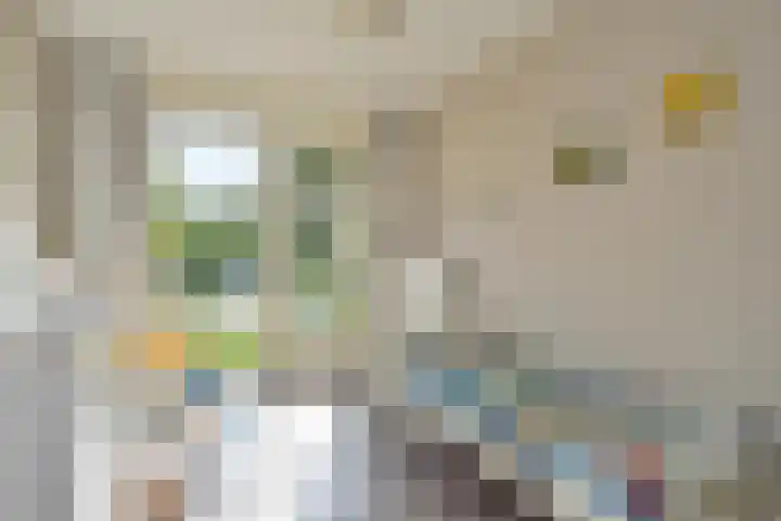 Vermeulenlaan 3 Den Haag thumbnail 35