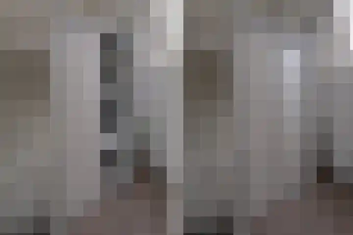 Vermeulenlaan 3 Den Haag thumbnail 43