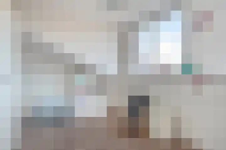 Vermeulenlaan 3 Den Haag thumbnail 47