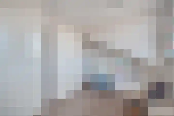 Vermeulenlaan 3 Den Haag thumbnail 48