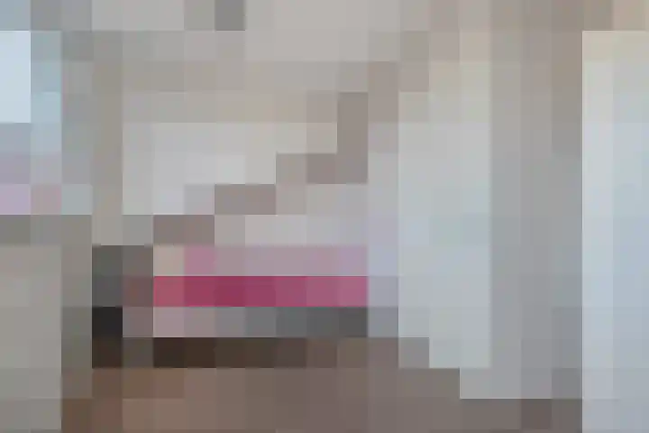 Vermeulenlaan 3 Den Haag thumbnail 49