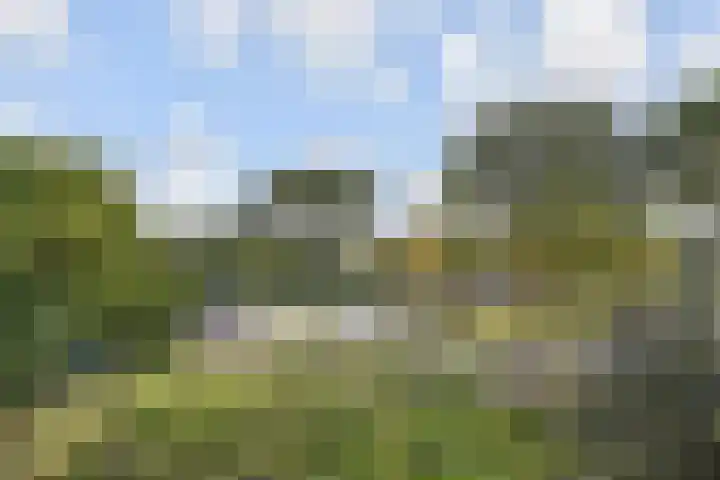 Vermeulenlaan 3 Den Haag thumbnail 52