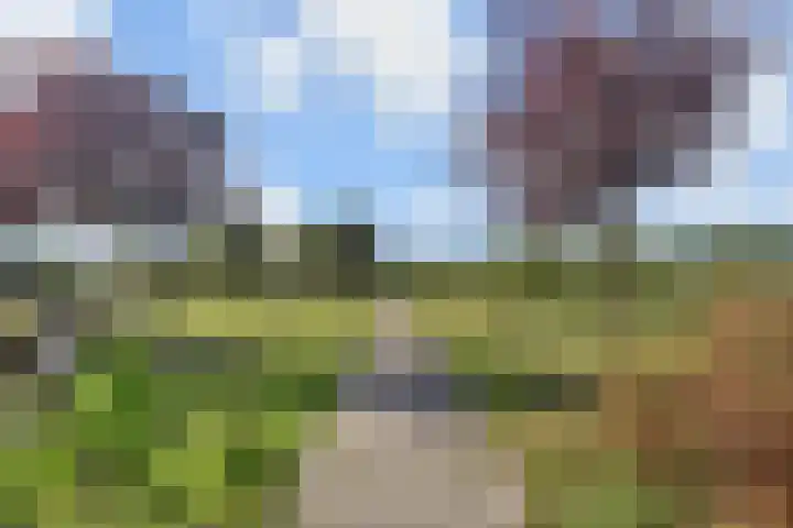 Vermeulenlaan 3 Den Haag thumbnail 55