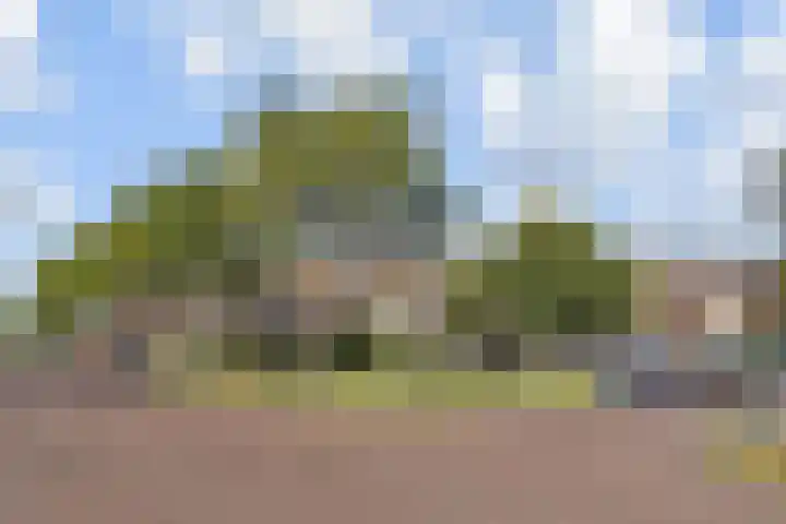 Vermeulenlaan 3 Den Haag thumbnail 6