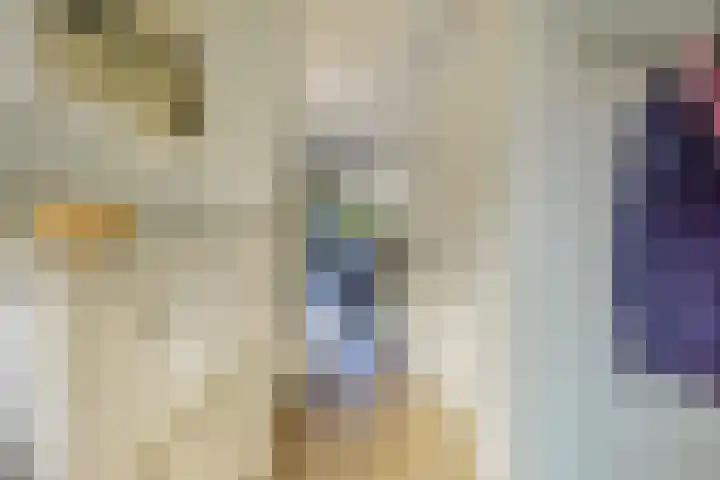 Vermeulenlaan 3 Den Haag thumbnail 9