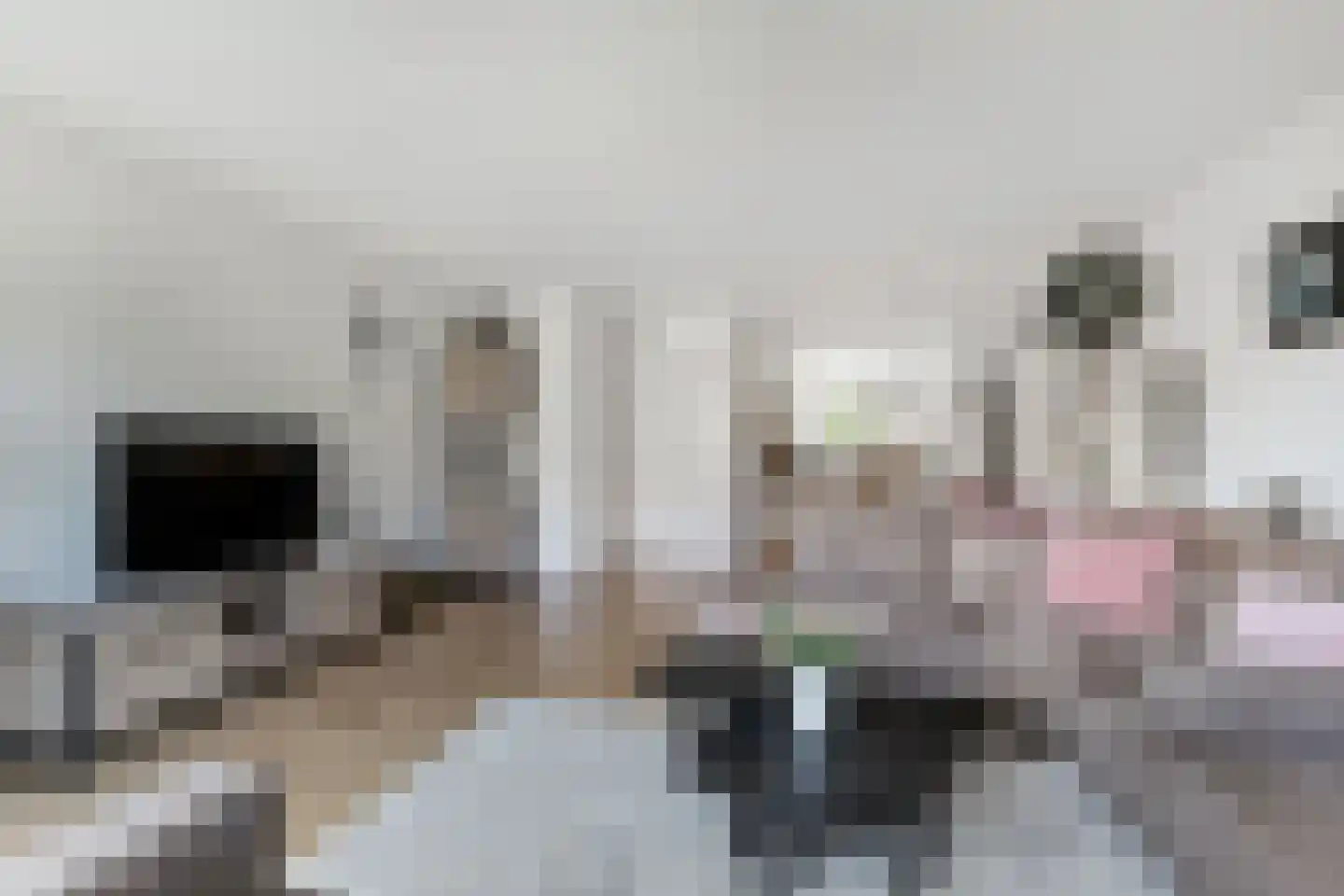 Vermeulenlaan 5 Den Haag thumbnail 15
