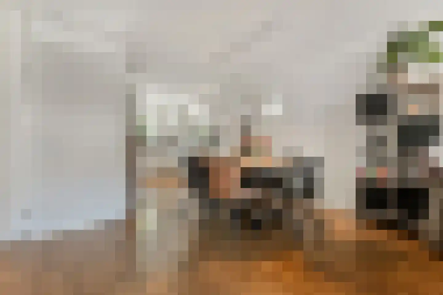 Vermeulenlaan 5 Den Haag thumbnail 16