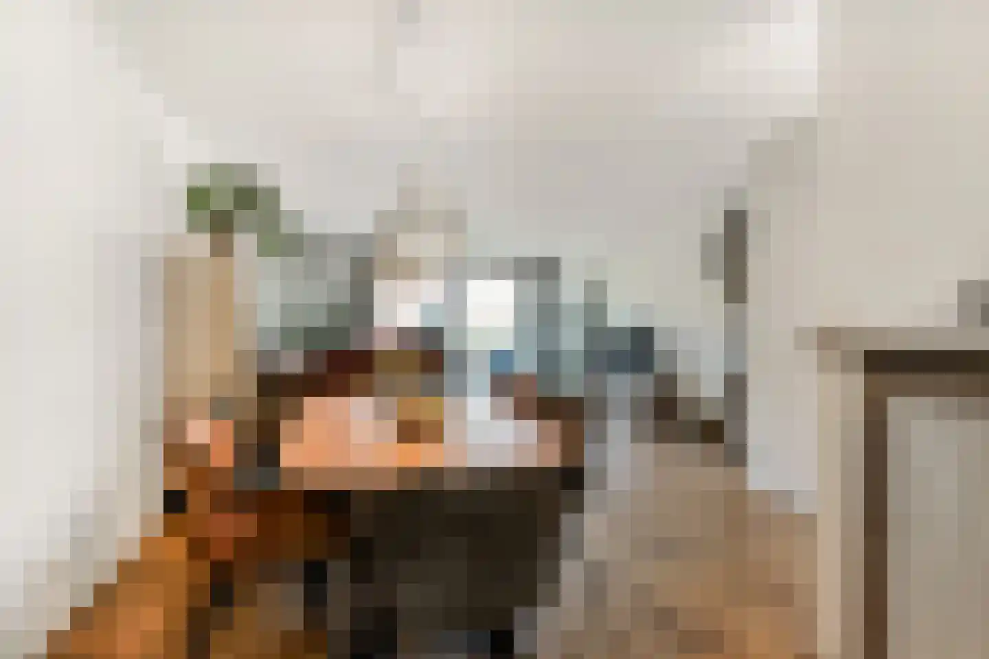 Vermeulenlaan 5 Den Haag thumbnail 18