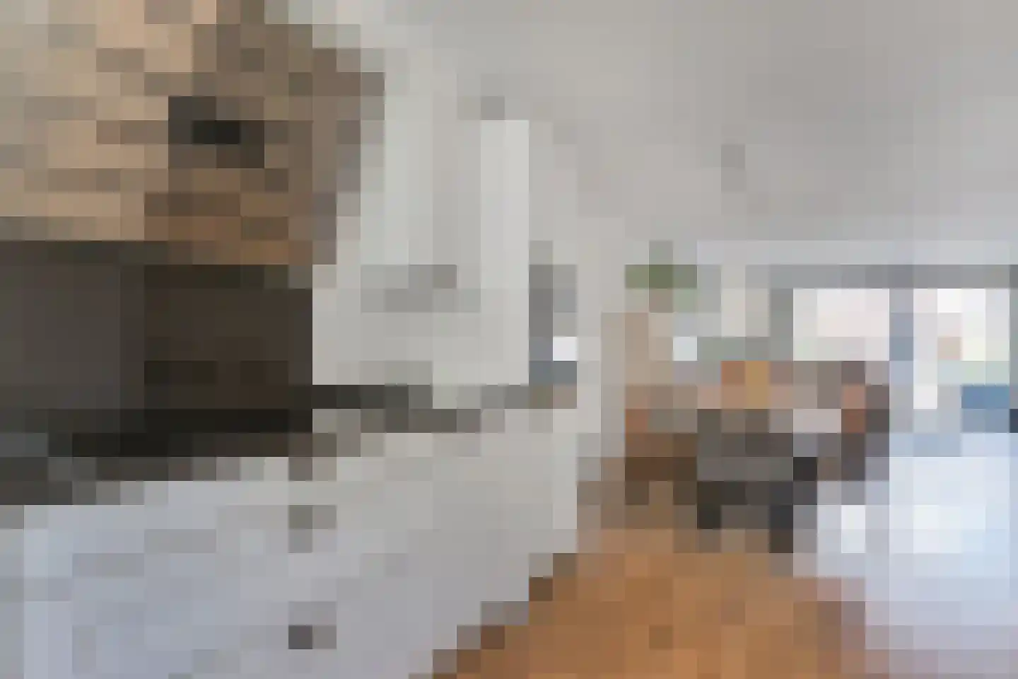 Vermeulenlaan 5 Den Haag thumbnail 20