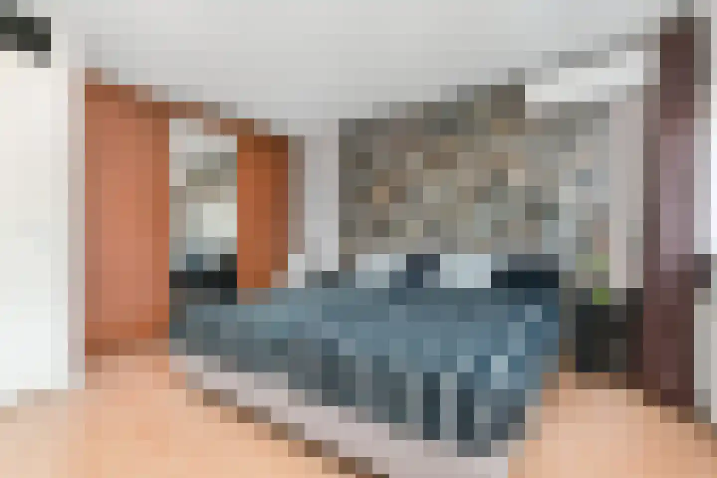 Vermeulenlaan 5 Den Haag thumbnail 24