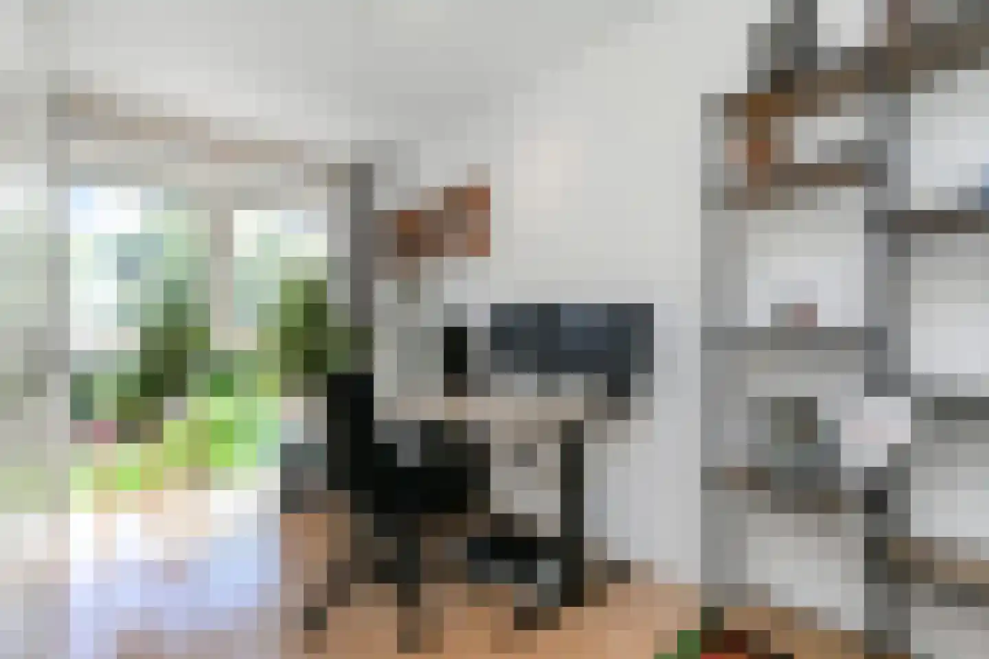 Vermeulenlaan 5 Den Haag thumbnail 25