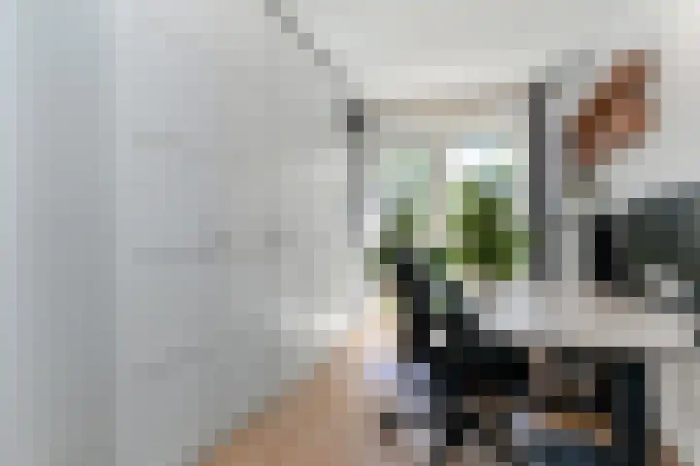 Vermeulenlaan 5 Den Haag thumbnail 26