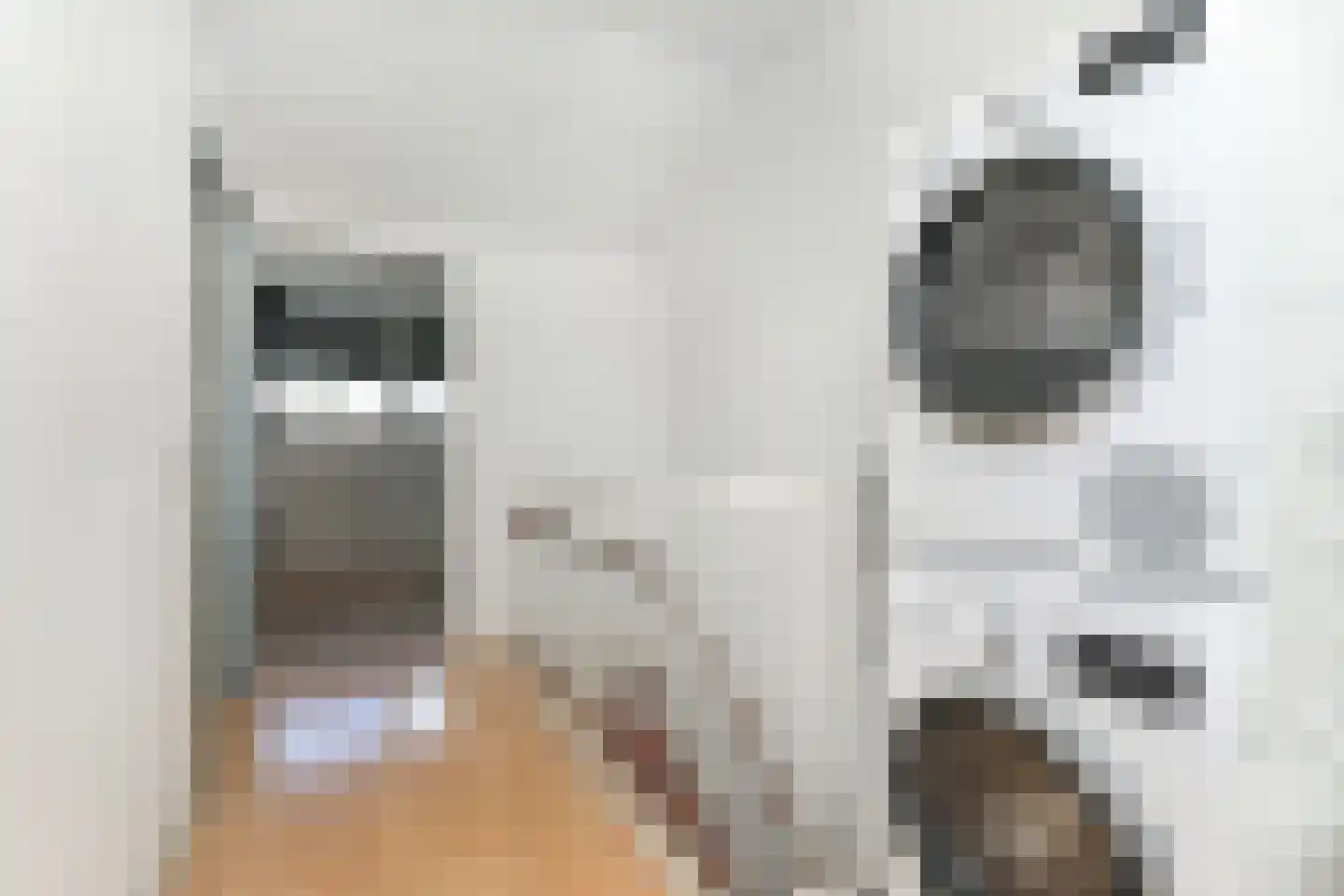 Vermeulenlaan 5 Den Haag thumbnail 31