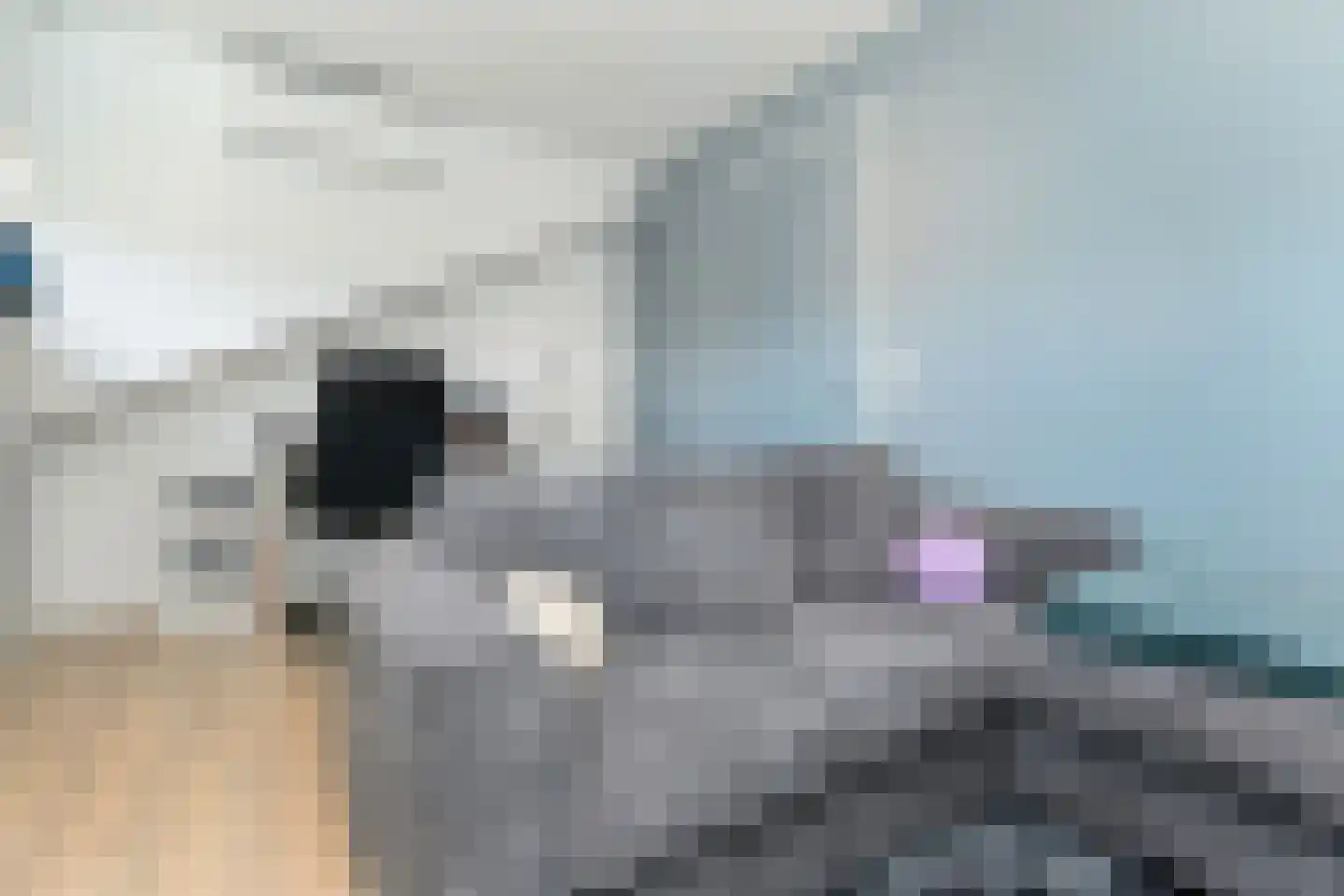 Vermeulenlaan 5 Den Haag thumbnail 37