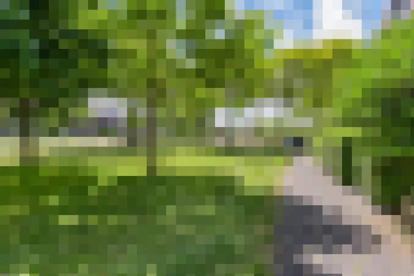Vermeulenlaan 5 Den Haag thumbnail 42
