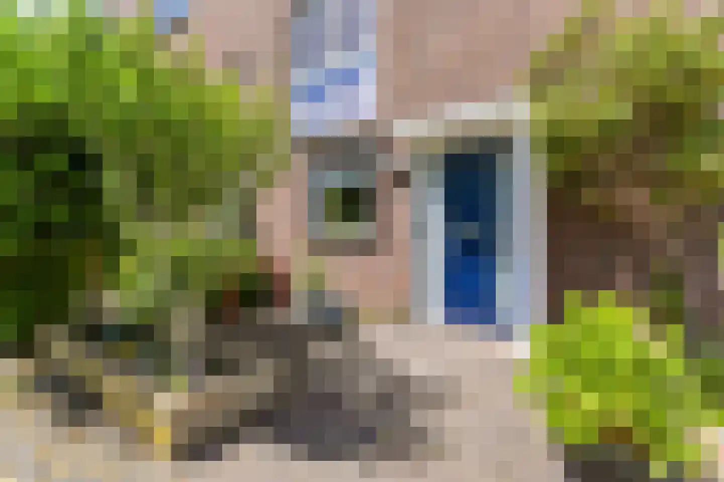 Vermeulenlaan 5 Den Haag thumbnail 5