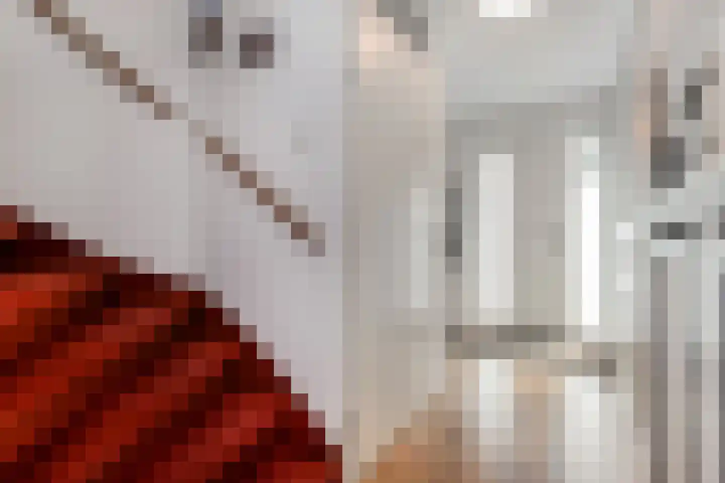 Vermeulenlaan 5 Den Haag thumbnail 6