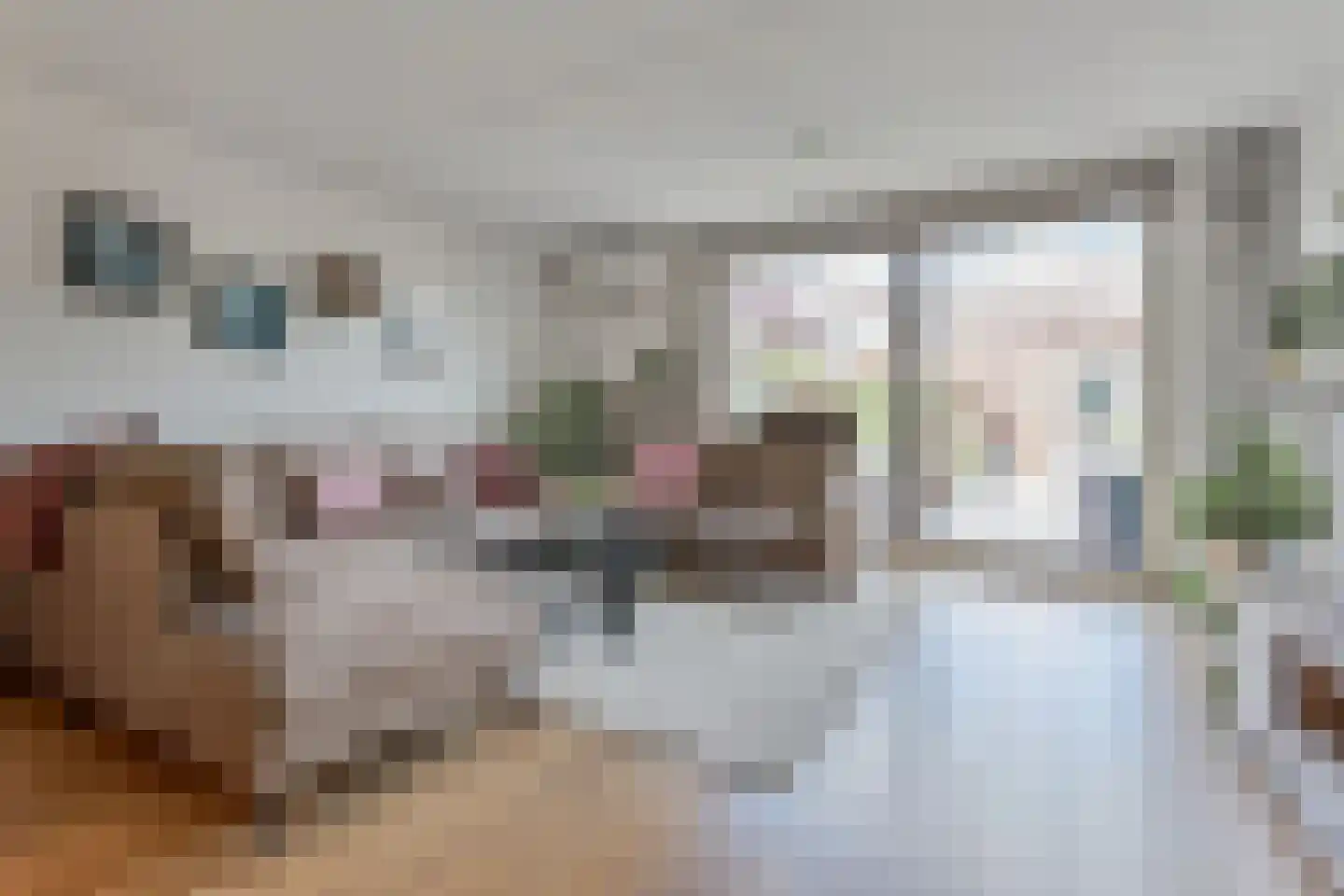 Vermeulenlaan 5 Den Haag thumbnail 8