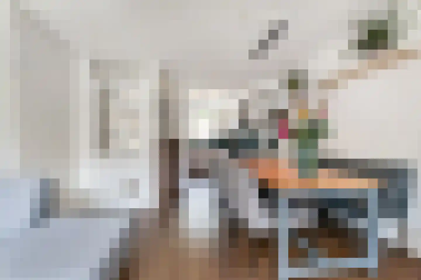 Vermeulenlaan 51 Den Haag thumbnail 18