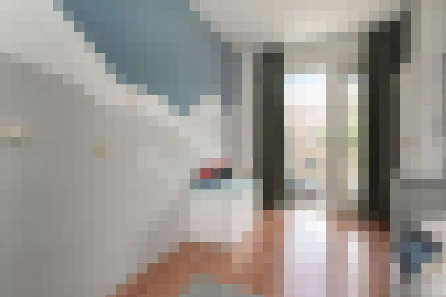 Vermeulenlaan 51 Den Haag thumbnail 29