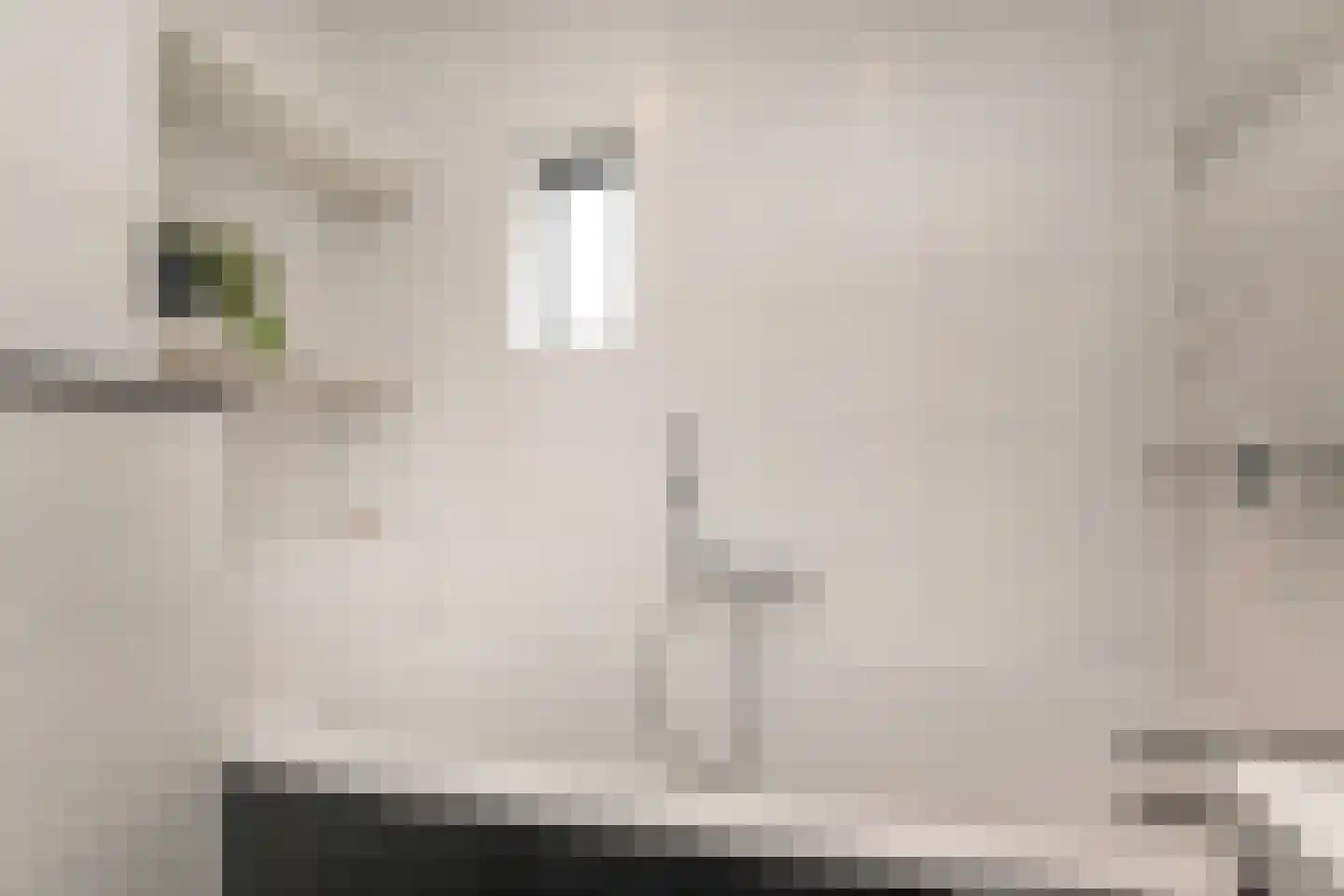 Vermeulenlaan 51 Den Haag thumbnail 32
