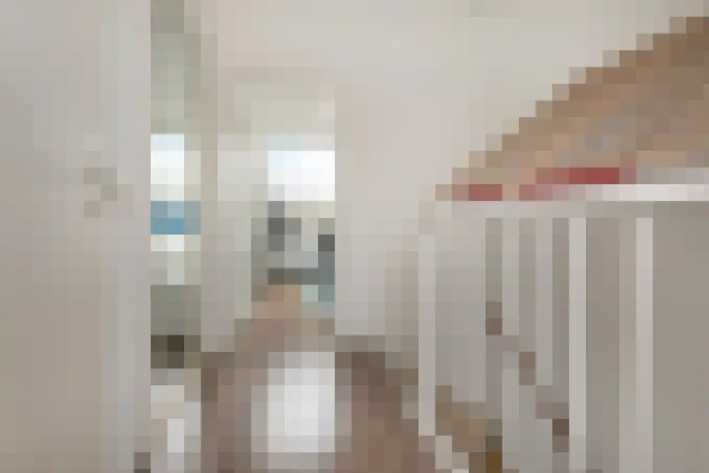 Vermeulenlaan 51 Den Haag thumbnail 33