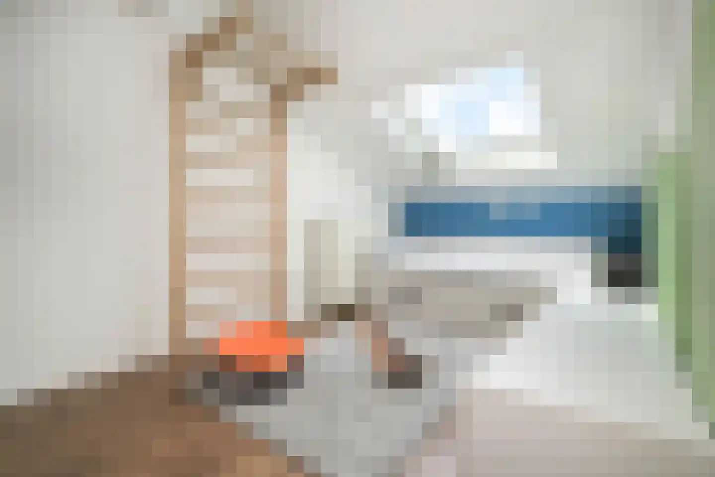Vermeulenlaan 51 Den Haag thumbnail 35