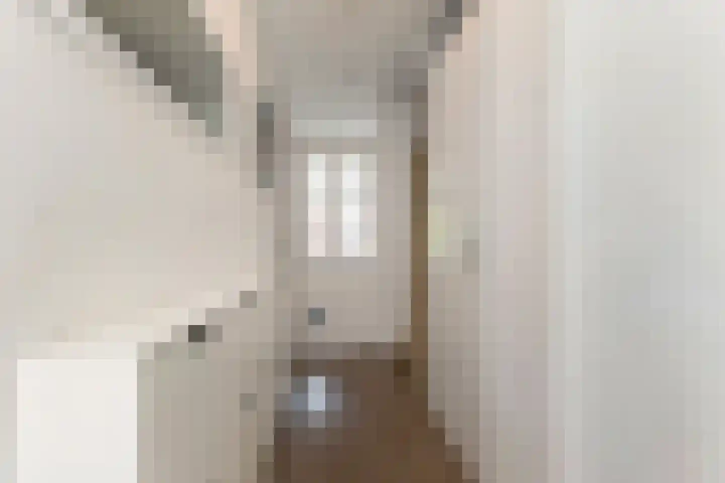 Vermeulenlaan 51 Den Haag thumbnail 6