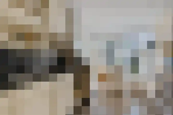 Vermeulenstraat 1 Noordwijkerhout thumbnail 16