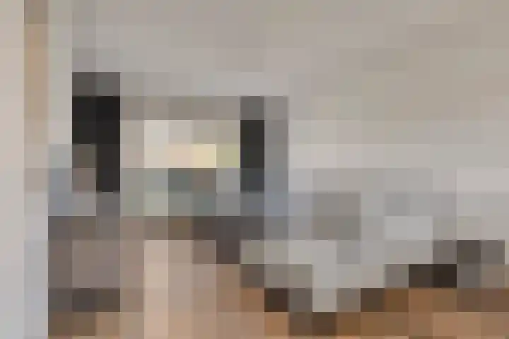 Vermeulenstraat 7 Noordwijkerhout thumbnail 10