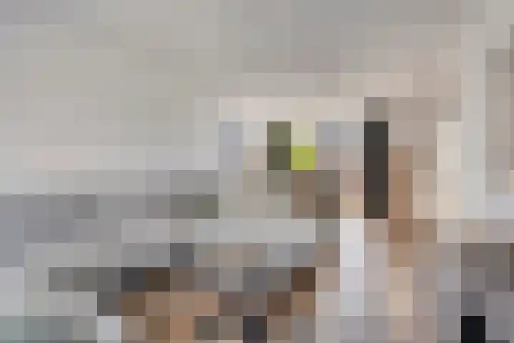Vermeulenstraat 7 Noordwijkerhout thumbnail 11