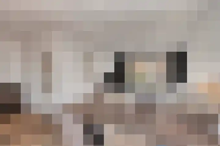 Vermeulenstraat 7 Noordwijkerhout thumbnail 12