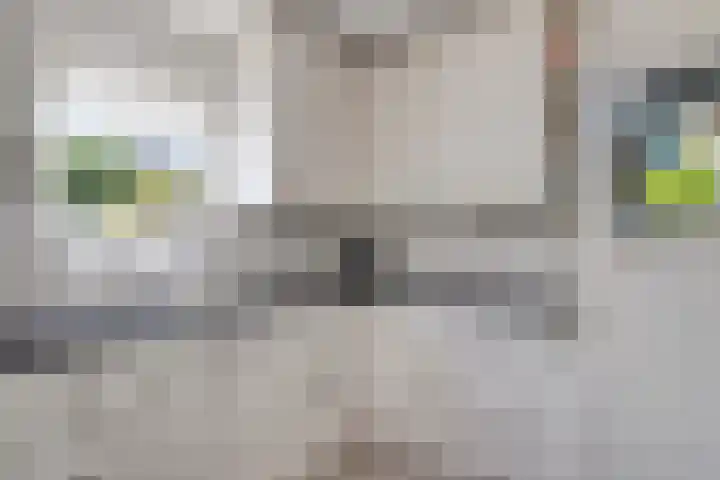 Vermeulenstraat 7 Noordwijkerhout thumbnail 15