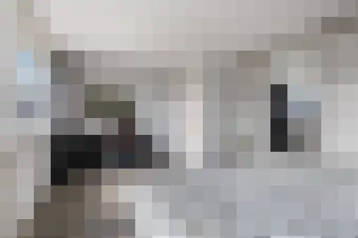 Vermeulenstraat 7 Noordwijkerhout thumbnail 19
