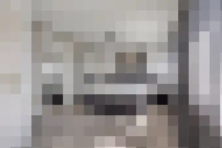 Vermeulenstraat 7 Noordwijkerhout thumbnail 20