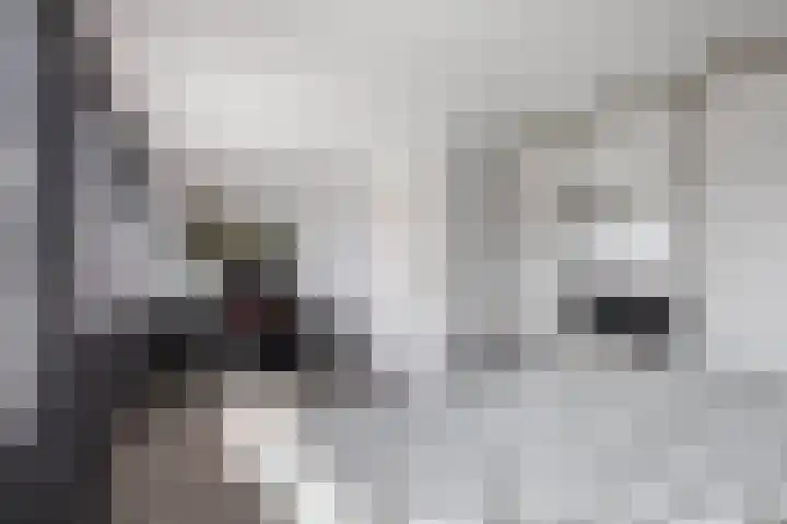 Vermeulenstraat 7 Noordwijkerhout thumbnail 21