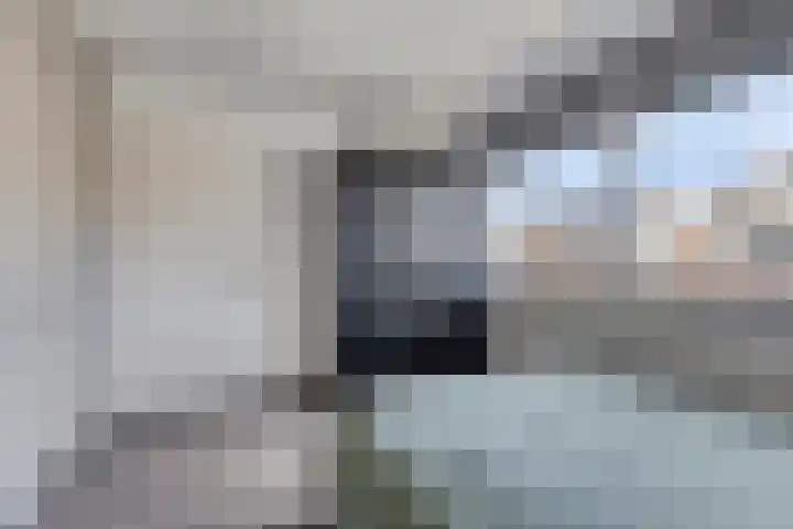 Vermeulenstraat 7 Noordwijkerhout thumbnail 25