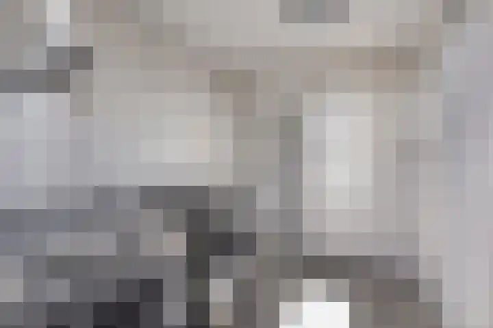 Vermeulenstraat 7 Noordwijkerhout thumbnail 26