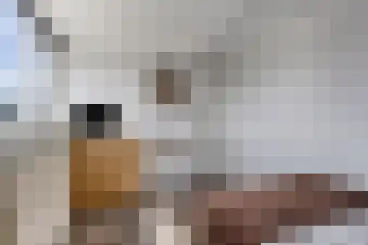 Vermeulenstraat 7 Noordwijkerhout thumbnail 28