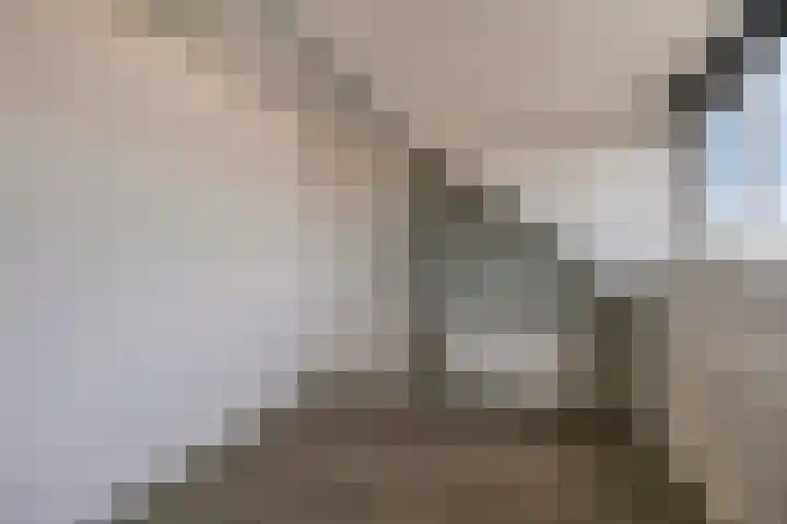 Vermeulenstraat 7 Noordwijkerhout thumbnail 30