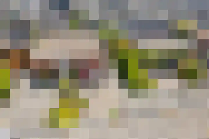 Vermeulenstraat 7 Noordwijkerhout thumbnail 31