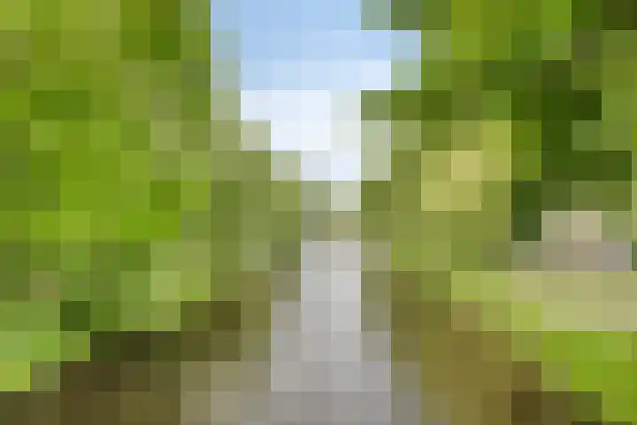 Vermeulenstraat 7 Noordwijkerhout thumbnail 39
