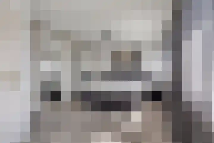 Vermeulenstraat 7 Noordwijkerhout thumbnail 4